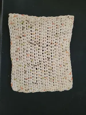 Dish Cloth