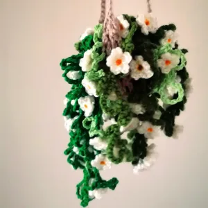 Snowtopia hanging plant and holder