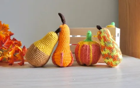 Pumpkin and Gourd Family