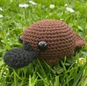 Little Platypus Pal