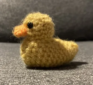 Little duckling