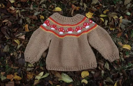 Kids Toadstool Sweater