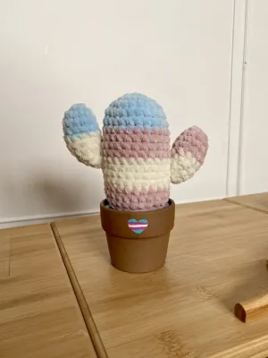 Trans Cactus