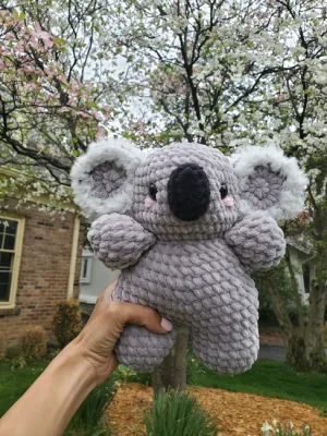 Tory the Koala