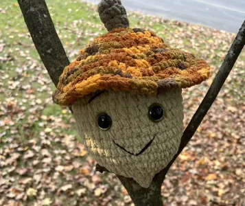 Arnie The Acorn