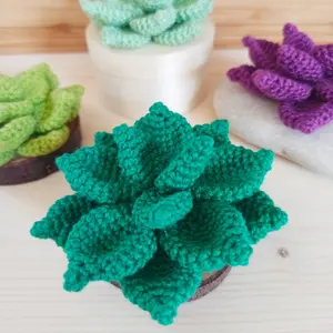 Crochet Succulent Pattern