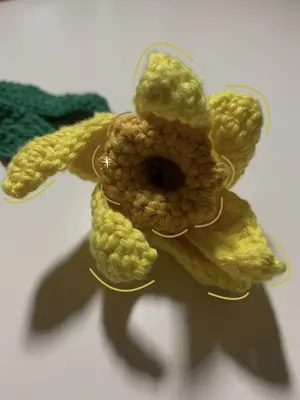 Daffodil