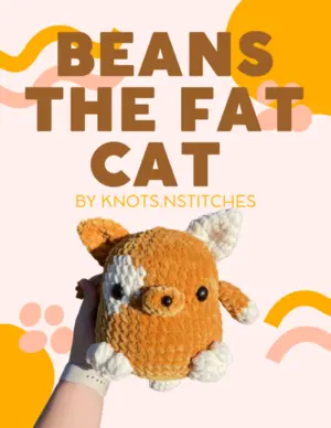 Beans the fat cat