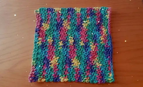 Dish / Wash cloth