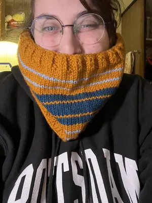 Everything is More Fun With Stripes Cowl