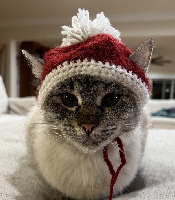 Santa Hat For Cat Crochet