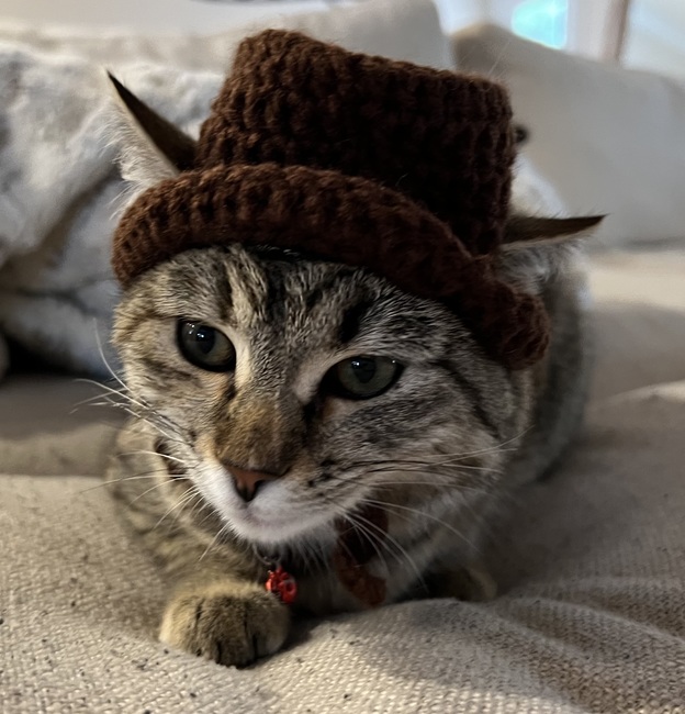 Kitty Cat Hat Crochet