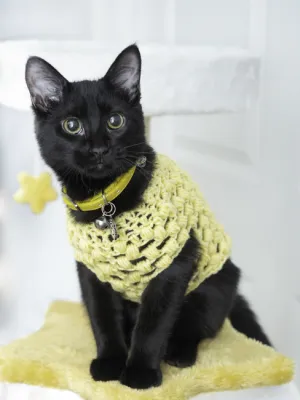 Puffy Pullover (Pet Sweater)
