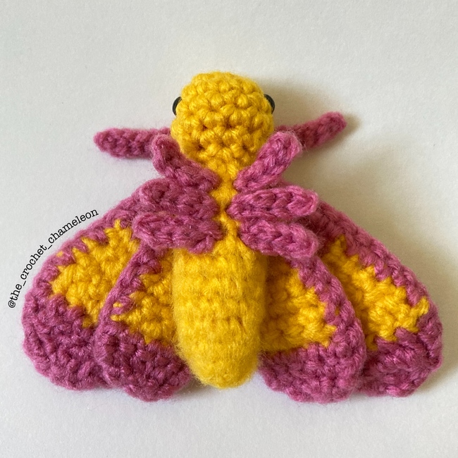 Rosy Maple Moth amigurumi pattern 