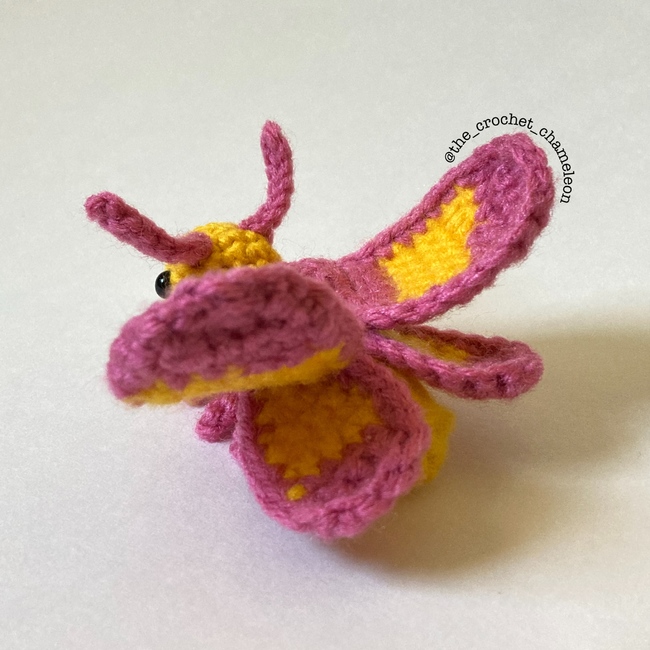 Rosy Maple Moth amigurumi pattern 