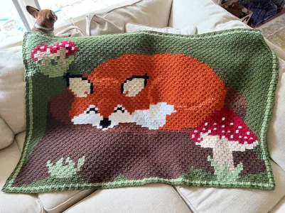 Sleepy Fox C2C Blanket