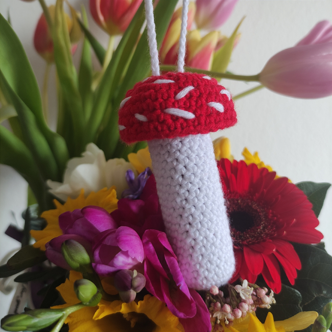 Mushroom holder Crochet pattern Ribblr