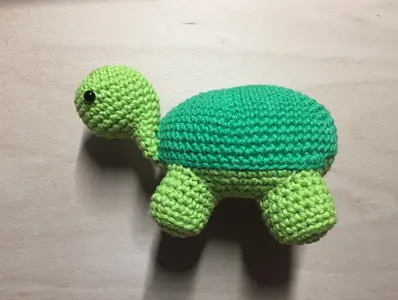 Turtle