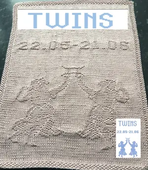 Nr. 556 Zodiac Twins guest towel