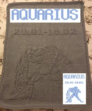 Nr. 558 Zodiac Aquarius guest towel