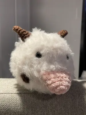 Poro pattern