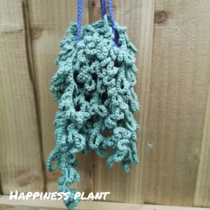 Hanging plant and plant holder - no sewing (Happiness plant)