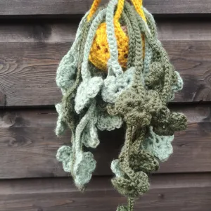 Hanging plant and plant holder - no sewing (Lucky plant)