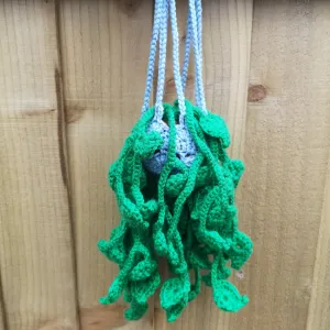 Hanging plant and plant holder - no sewing (Money plant)