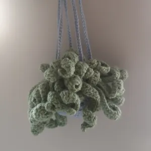 Hanging plant and plant holder - no sewing (Spiritual plant)