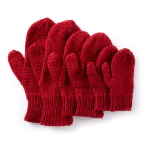 Caron Basic Family Knit Mittens