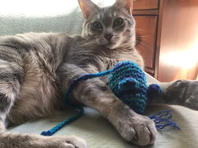 Crochet Mouse Cat Toy