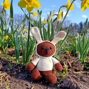 Teddy bear in bunny hood