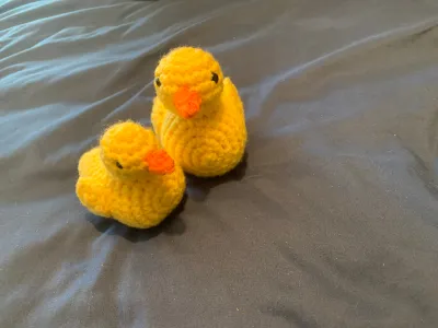 Little Duck