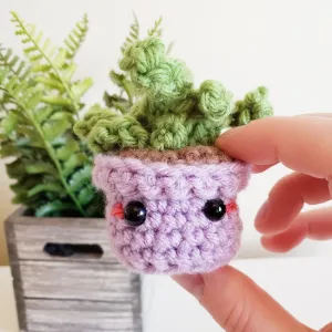 Buddy the Little Succulent Plant Amigurumi