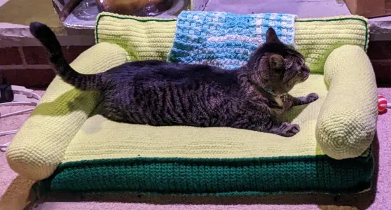 Kitty Couch