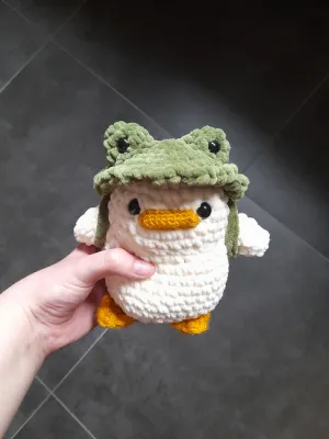 duck with frog hat