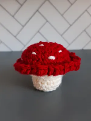 Tiny Mushroom Crochet Pattern