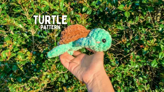 Turtle Crochet Pattern