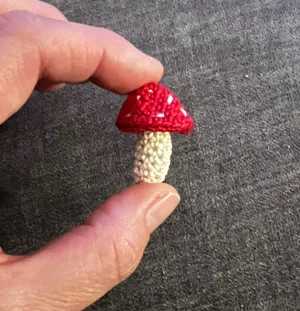 Cone Mushroom