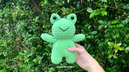 Frog Pattern