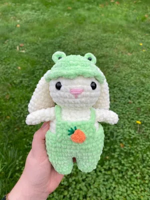 Bunny froggy