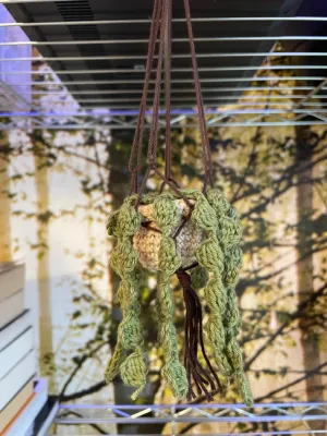 Hanging plant