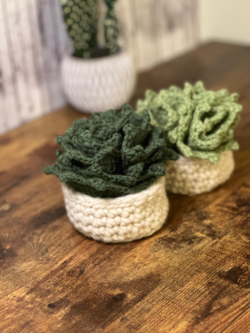 FREE Succulent Coaster Set: Crochet pattern