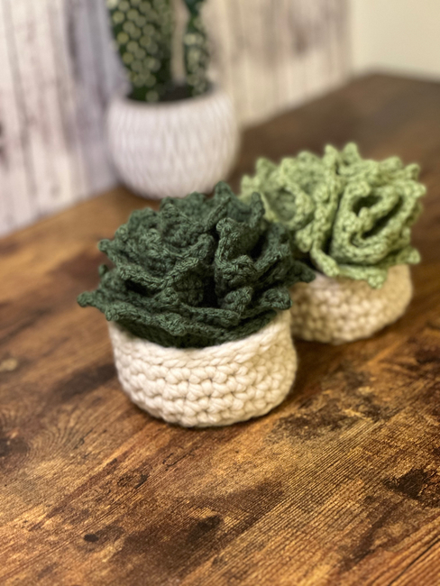 CROCHET PATTERN Flower Pot Coaster Set Crochet Pattern Flower