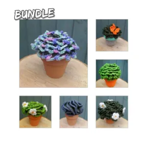 Pot plant succulents bundle