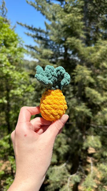 Crochet Pineapple 