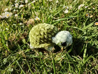 Crochet Turtle Pattern!!