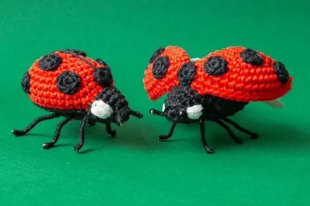 Ladybugs