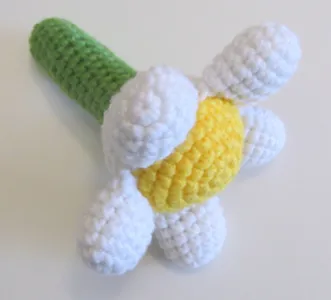 Daisy Rattle