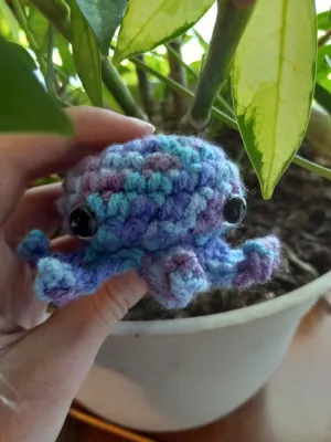 Cute octupus